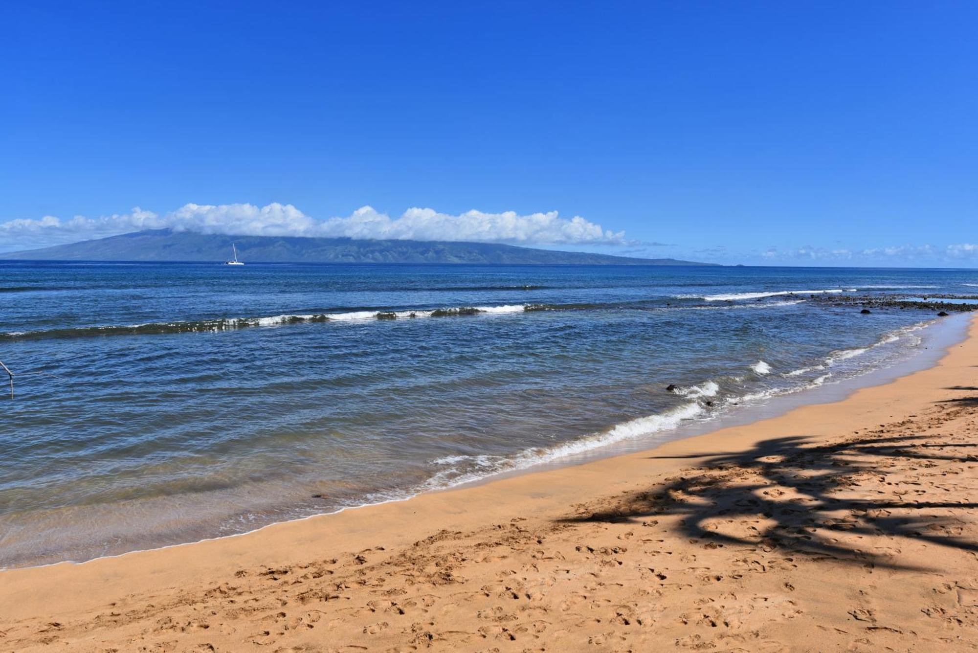 Kaanapali Shores 160 - Sleep Steps Away From The Ocean Кахана Экстерьер фото